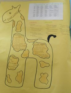 Metodologia