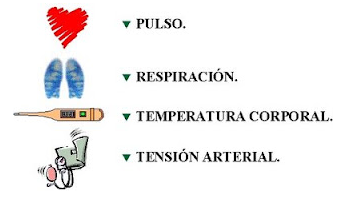 Trabajo de grupo en Primeros Auxilios “SIGNOS VITALES”